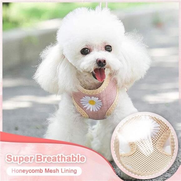 Cute Small Dog Harness and Leash Set with Bags No Pull Daisy Dog Vest Harness - Picture 2 of 8